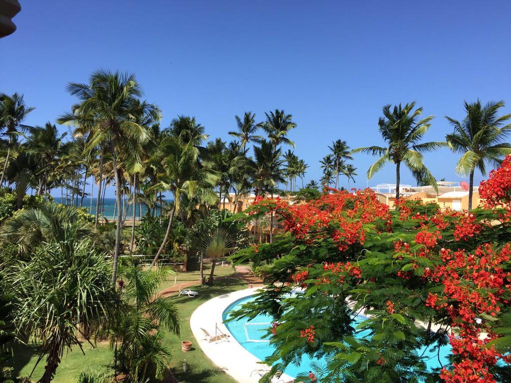 Don Cesar Aparthotel Las Terrenas Exterior foto